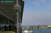 IMGP5372_thumb.jpg
