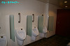 IMGP5374_thumb.jpg