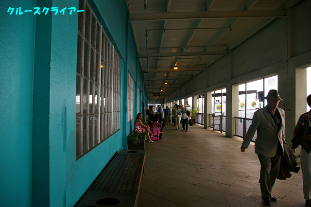 IMGP5381.jpg