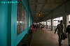 IMGP5381_thumb.jpg