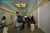 IMGP5382_thumb.jpg