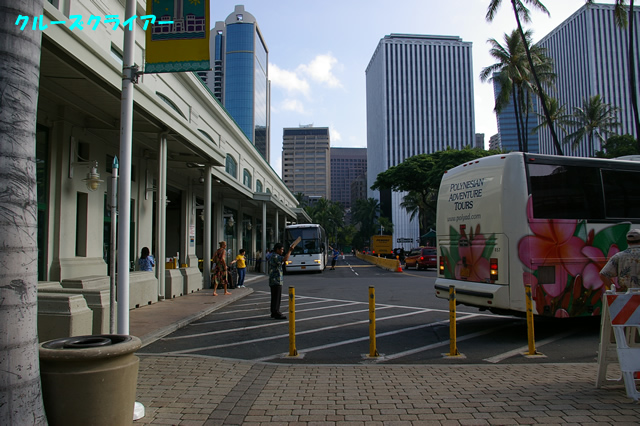 IMGP5389.jpg