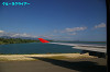 IMGP5416_thumb.jpg