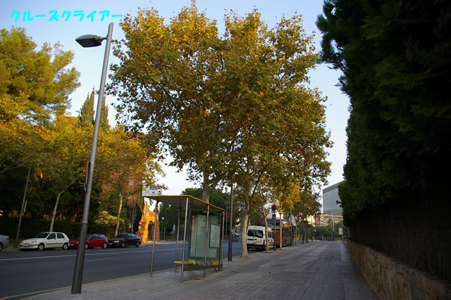 IMGP1669.jpg