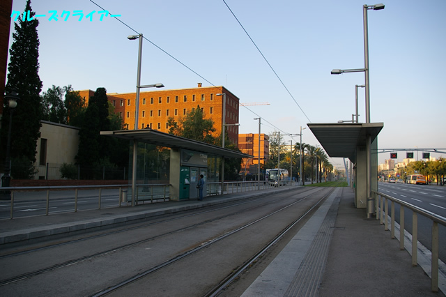 IMGP1683.jpg
