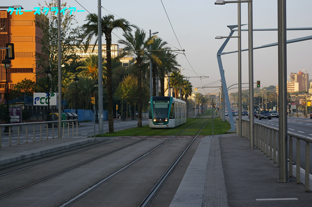 IMGP1691.jpg