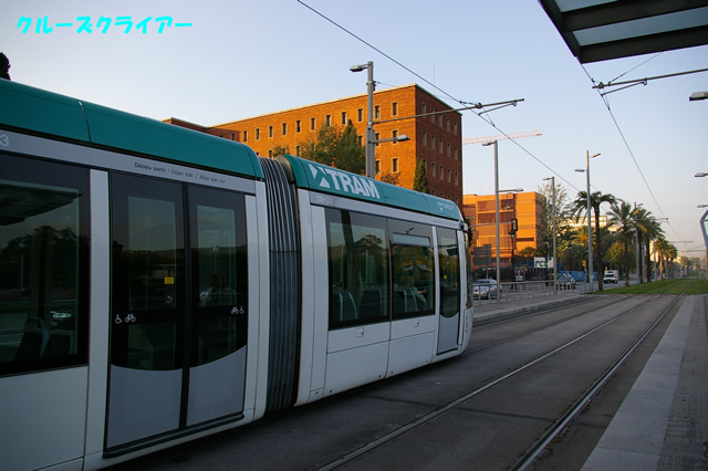 IMGP1695.jpg