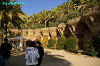 IMGP1711_thumb.jpg