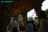 IMGP1736_thumb.jpg