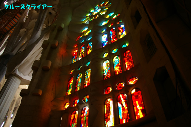 IMGP1753.jpg
