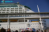 IMGP1796_thumb.jpg