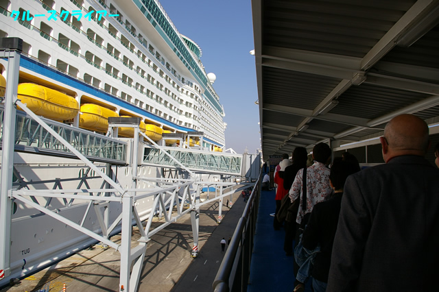 IMGP1813.jpg