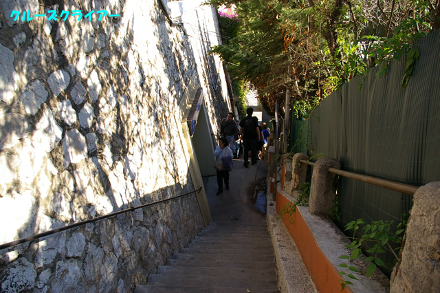 IMGP2031.jpg