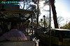 IMGP2097_thumb.jpg