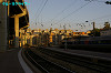 IMGP2119_thumb.jpg