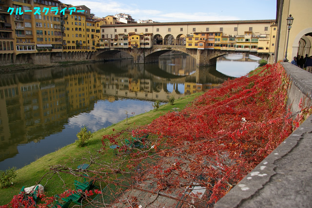 IMGP2231.jpg