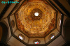 IMGP2245_thumb.jpg