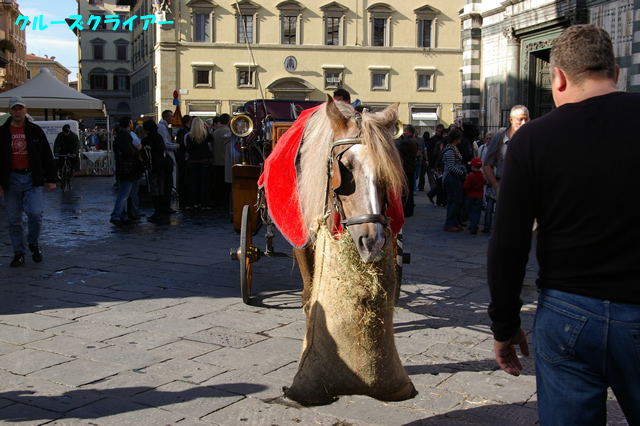 IMGP2247.jpg