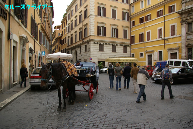 IMGP2442.jpg