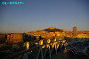 IMGP2542_thumb.jpg