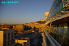 IMGP2546_thumb.jpg
