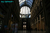 IMGP2631_thumb.jpg