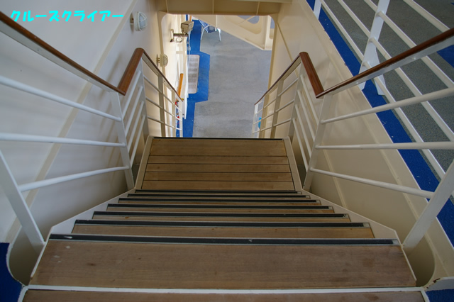 IMGP2773.jpg