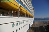 IMGP2836_thumb.jpg