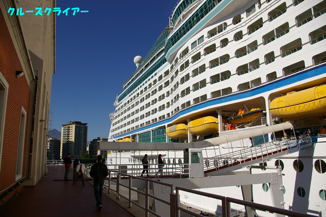 IMGP2839.jpg