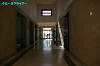 IMGP2840_thumb.jpg