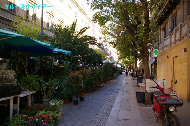IMGP2889.jpg