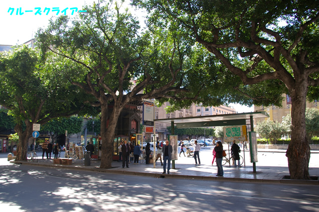 IMGP2900.jpg
