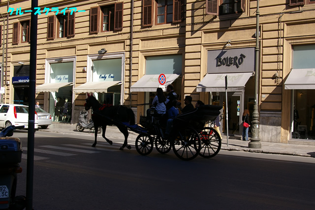 IMGP2921.jpg