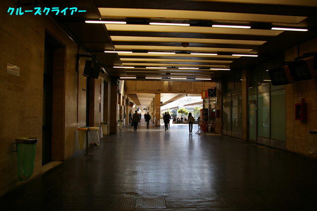 IMGP2944.jpg