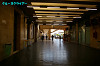 IMGP2944_thumb.jpg