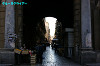 IMGP2965_thumb.jpg