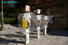 IMGP2975_thumb.jpg