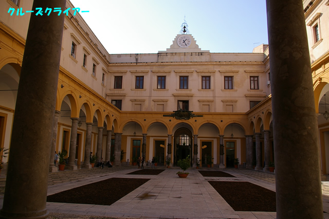 IMGP2979.jpg