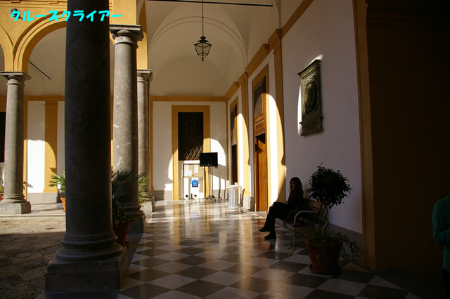 IMGP2981.jpg