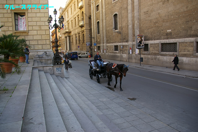 IMGP2990.jpg