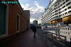 IMGP3035_thumb.jpg