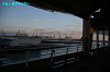 IMGP3046_thumb.jpg