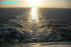 IMGP3116_thumb.jpg
