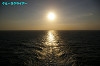 IMGP3117_thumb.jpg