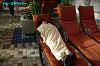 IMGP3128_thumb.jpg