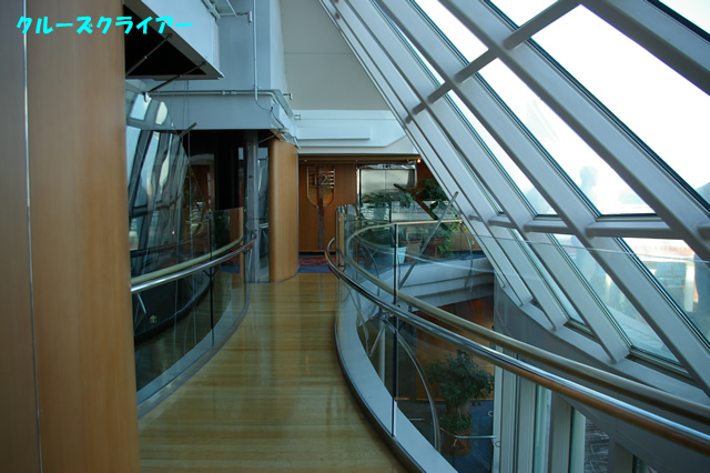IMGP3131.jpg