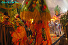 IMGP3166_thumb.jpg